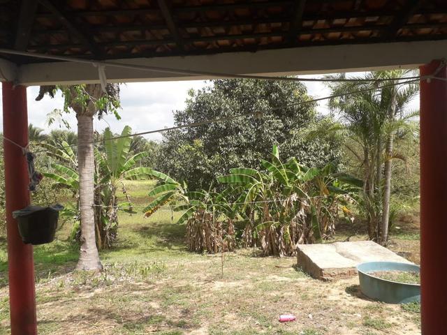 Fazenda em Santa Rita parcelada e sem juros!!! - Foto 6