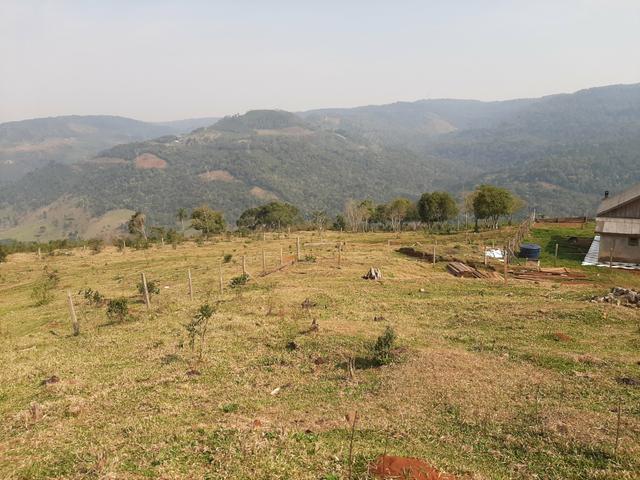 Chácara de 23.5 Alqueires com 22.5 alqueires de pasto - Faxinal do Céu. Pinhão- PR - Foto 20