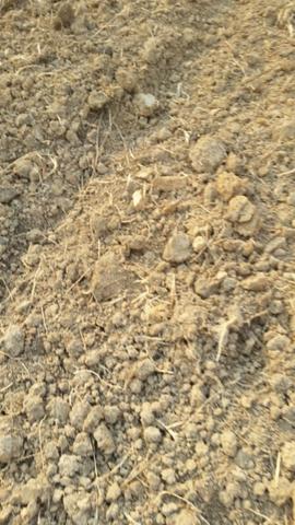 Terreno - Foto 5