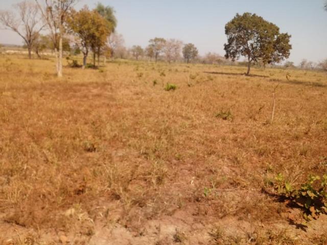 Fazenda a mais linda da região apenas 53 km de Cuiabá - Foto 14
