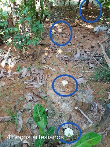 Sítio em Colatina na ES 248 na beira do Rio Doce - Foto 7