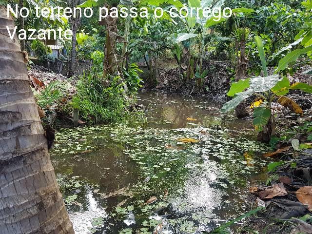 Sítio em Colatina na ES 248 na beira do Rio Doce - Foto 20