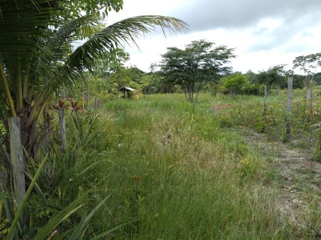 R$ 150 mil reais sitio com 3 hectares , escriturado a 23 km de Castanhal - Foto 14