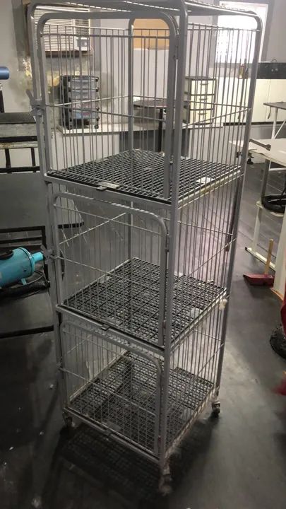 Vendo canil  - Foto 2