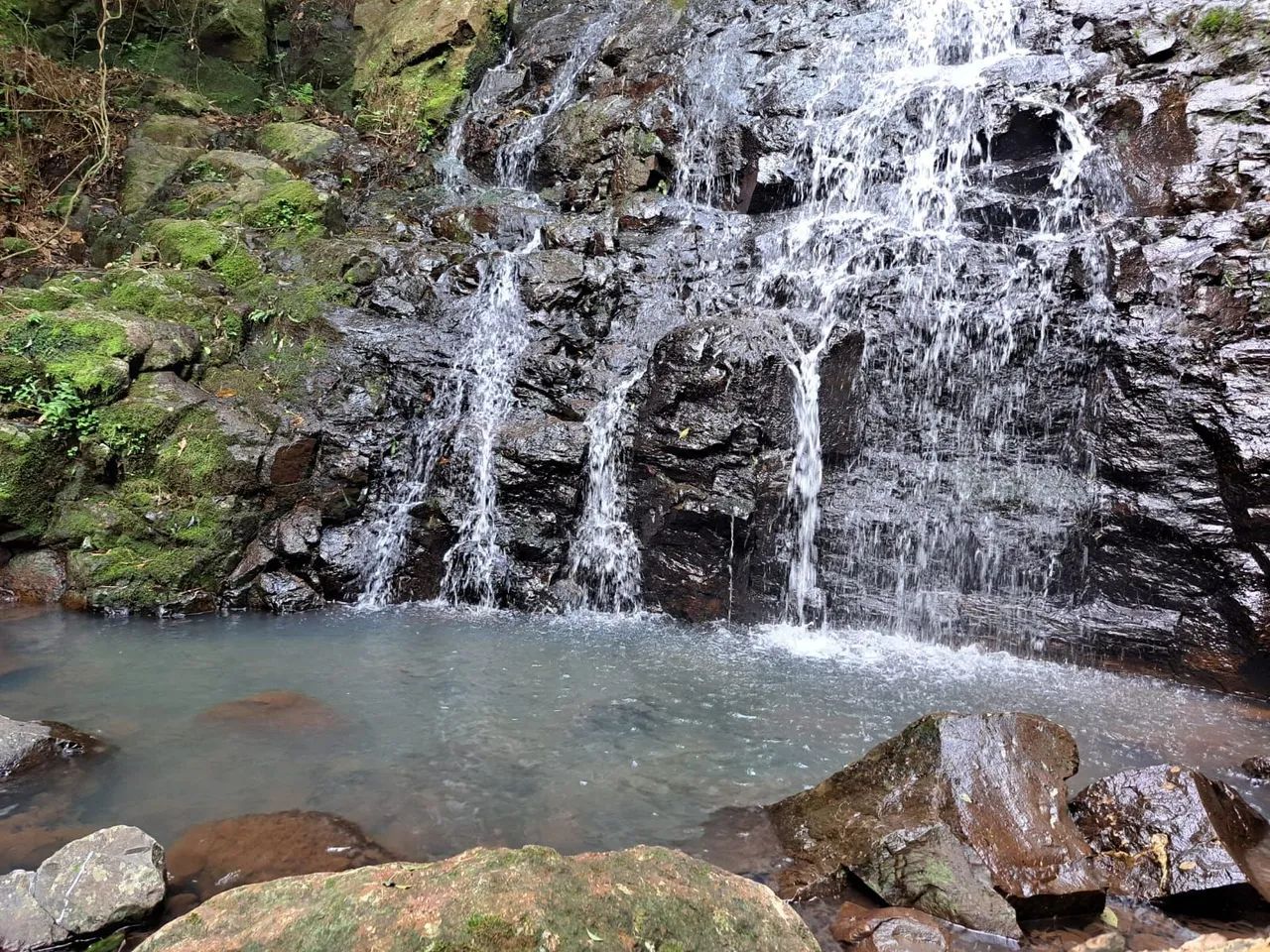 foto - São Francisco de Paula - 