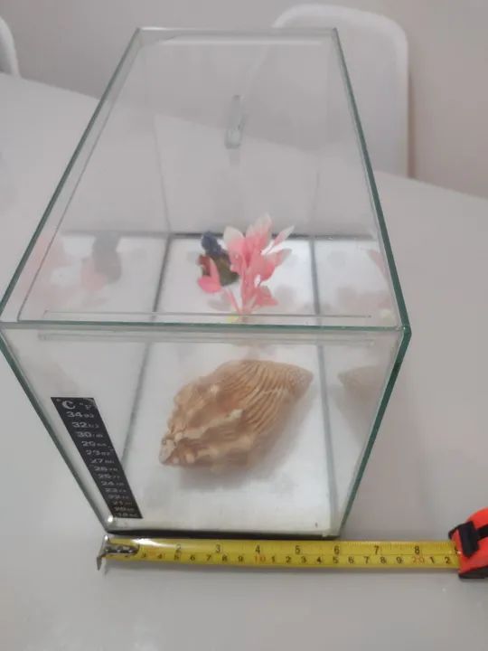 Aquário 9 Litros - Foto 2