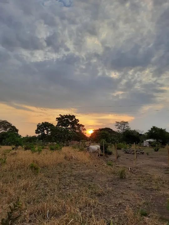 Vende-se chácaras a partir de 1.000 m² em Aragoiânia - Goiás - Foto 3
