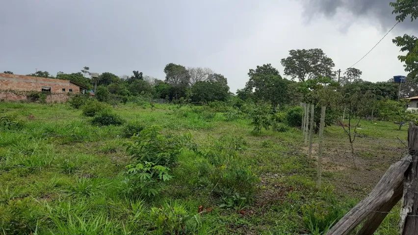 Vende-se chácaras a partir de 1.000 m² em Aragoiânia - Goiás - Foto 5