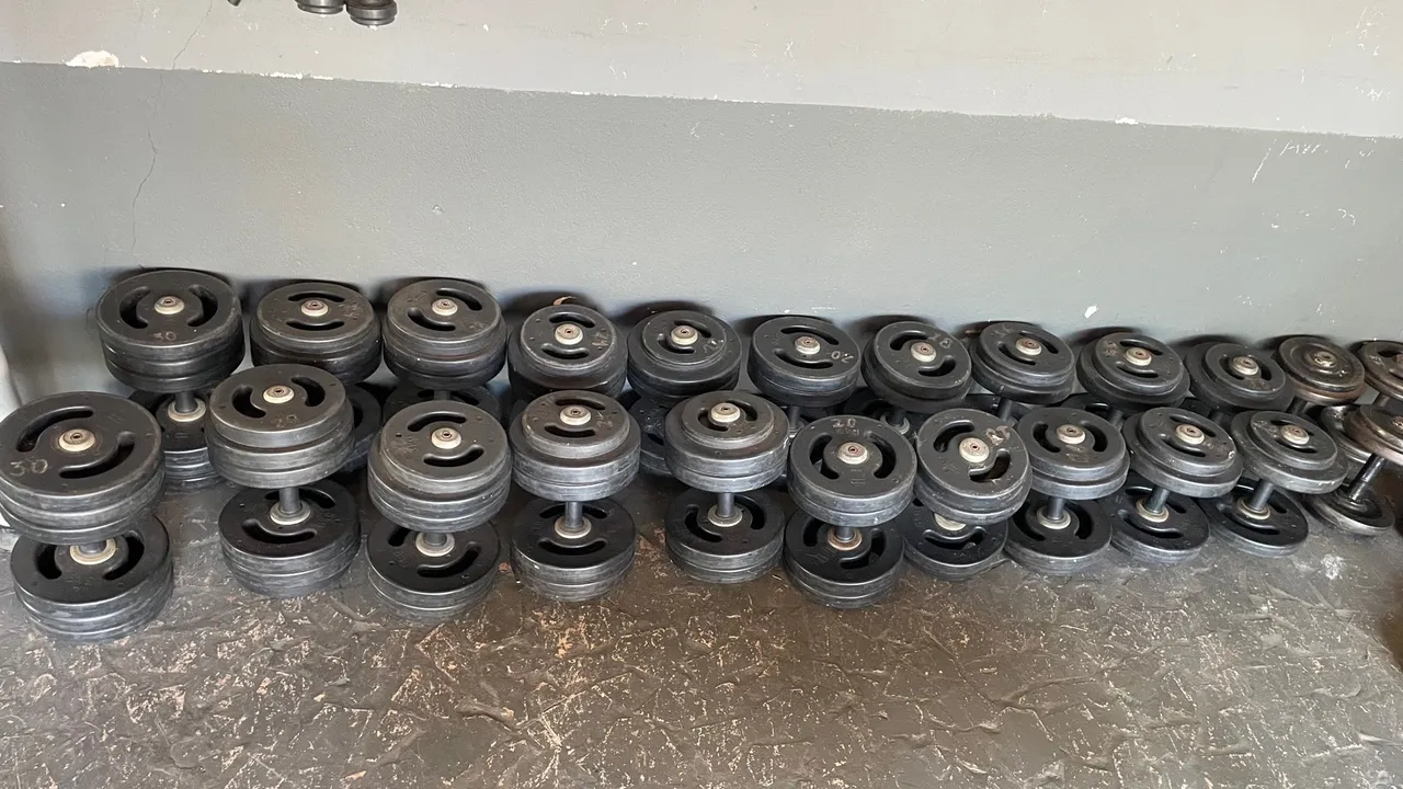 Halteres - dumbbells injetado 12 ao 30kg