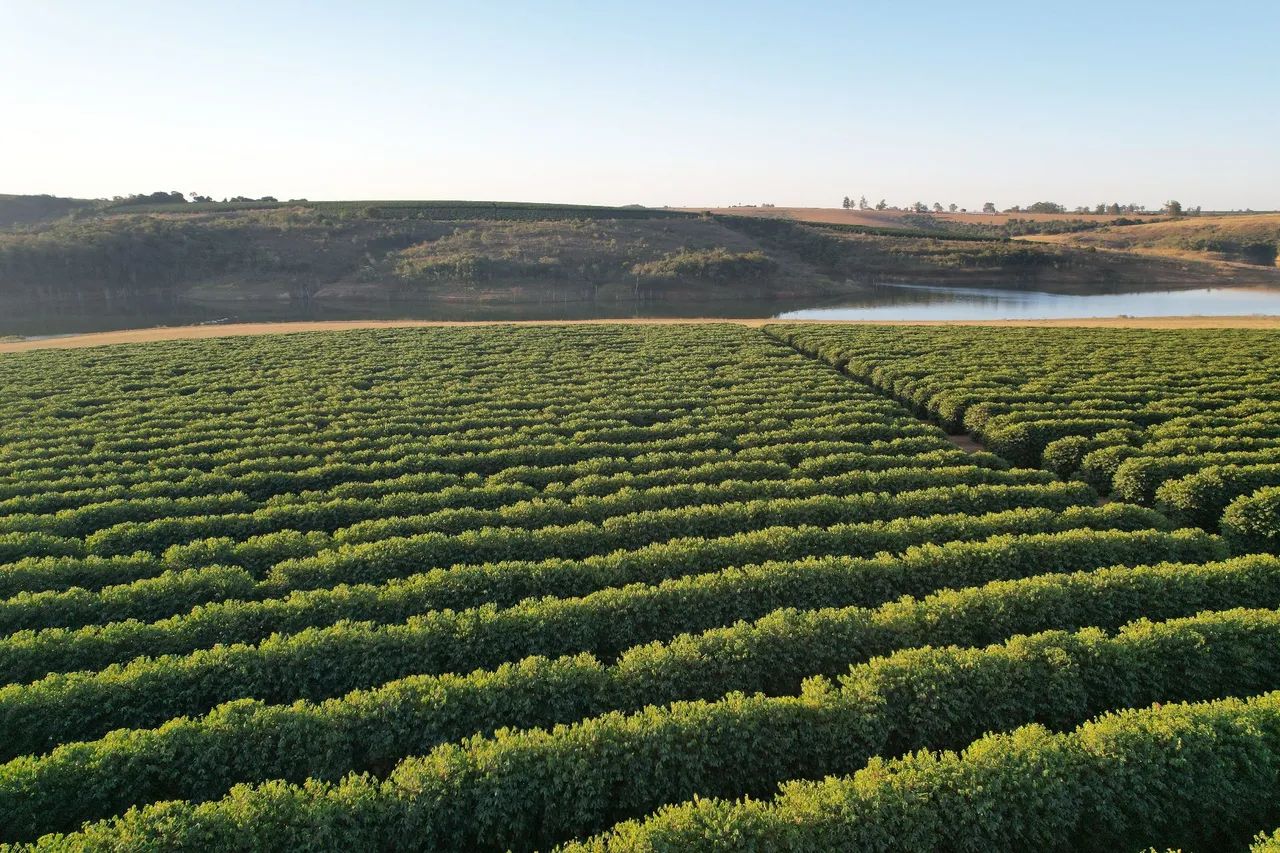 Foto - Patrocínio - Centro