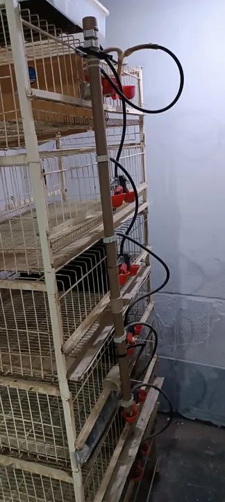 Bateria de gaiolas para codornas  - Foto 3