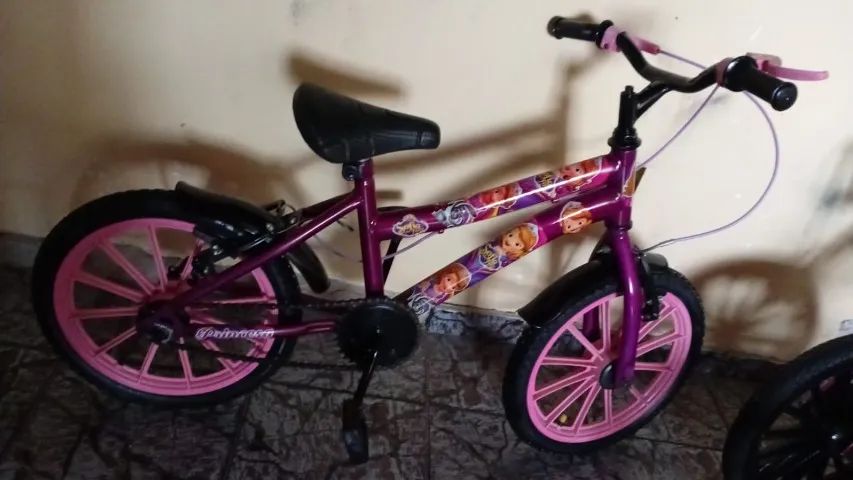 Bibleta Aro 16 Princesa Sofia