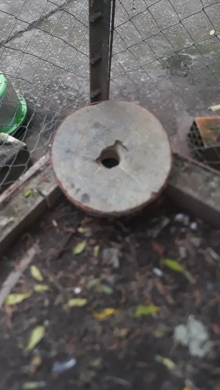  pedra de moinho - Foto 2