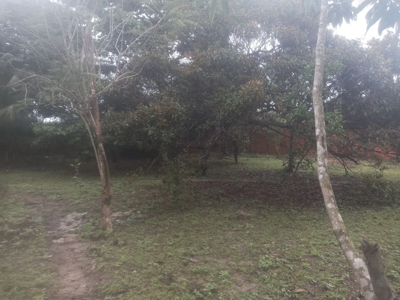 Vende-se sitio
