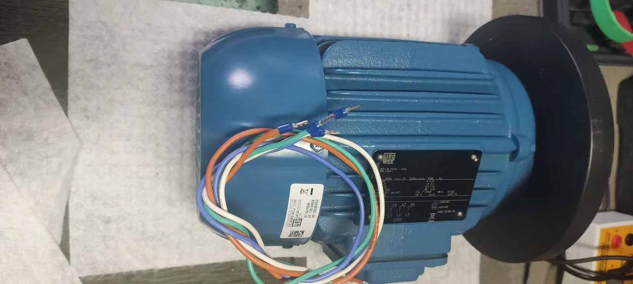 Motor WEG W22