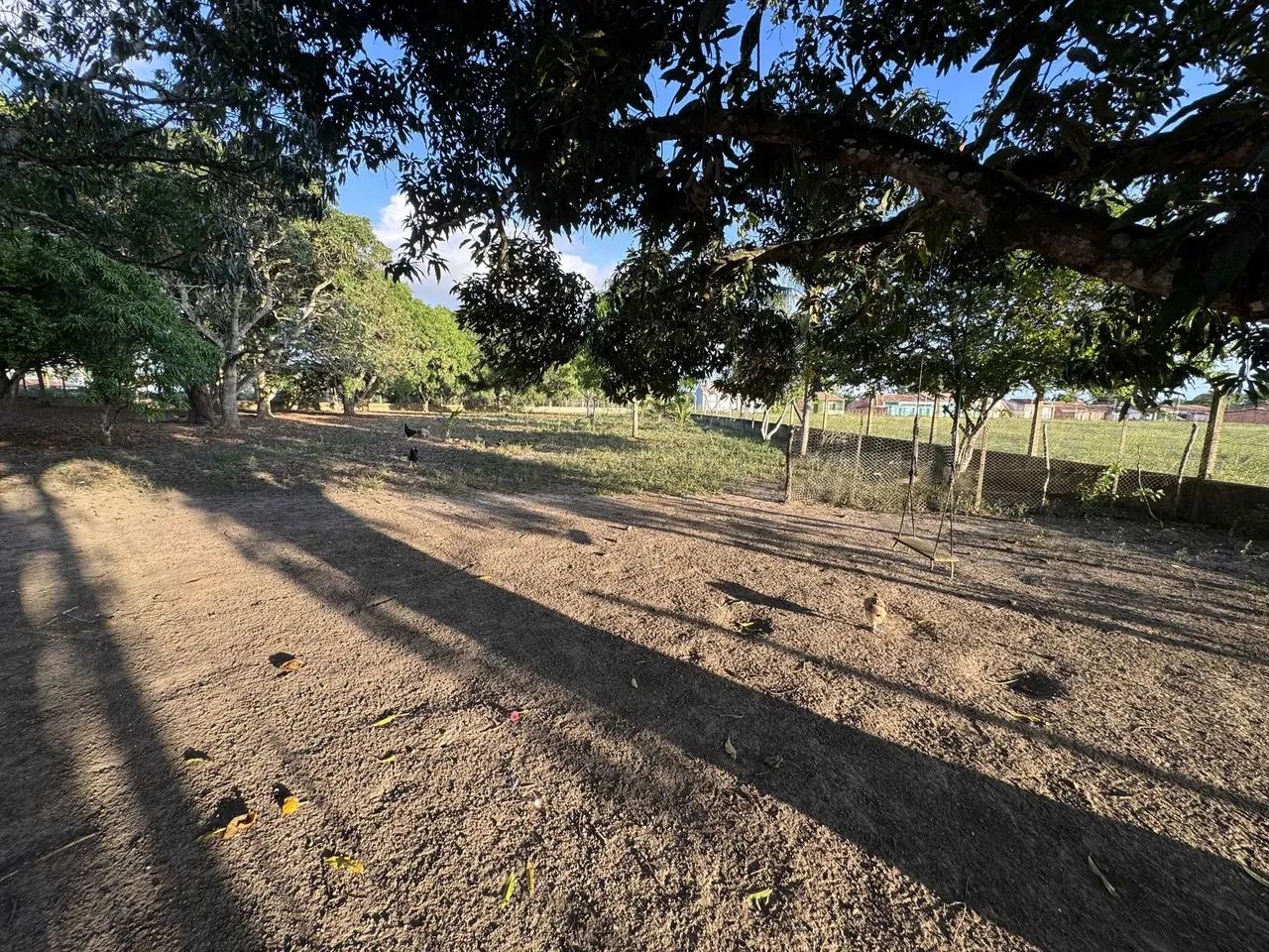 Chácara em nossa senhora das dores [61] - Foto 7