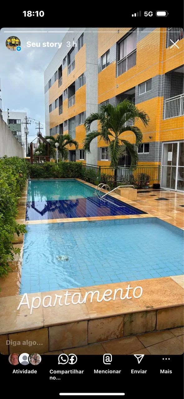 Foto - Paulista - Pau Amarelo
