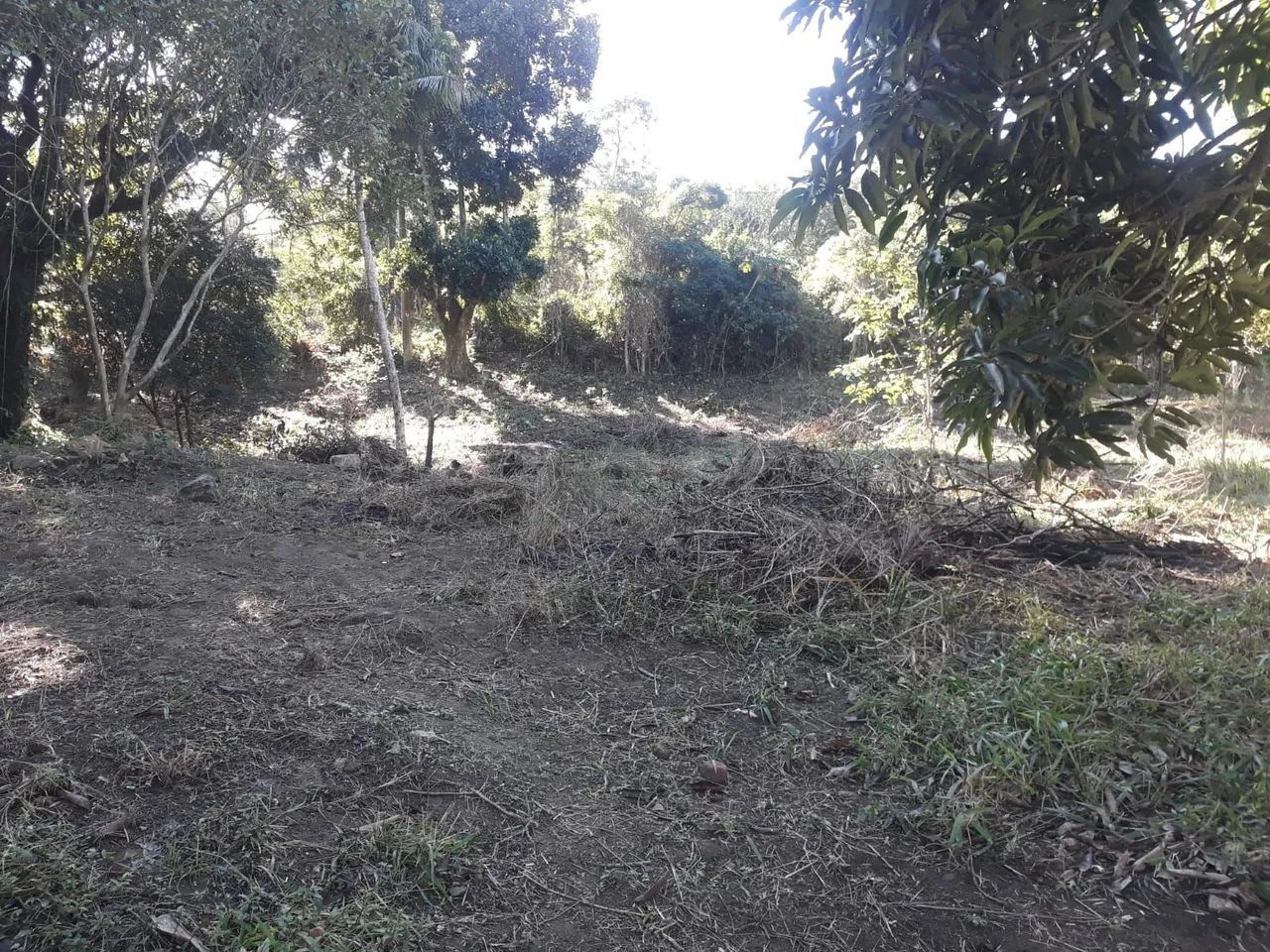 Foto - Queimados - Luiz de Camões