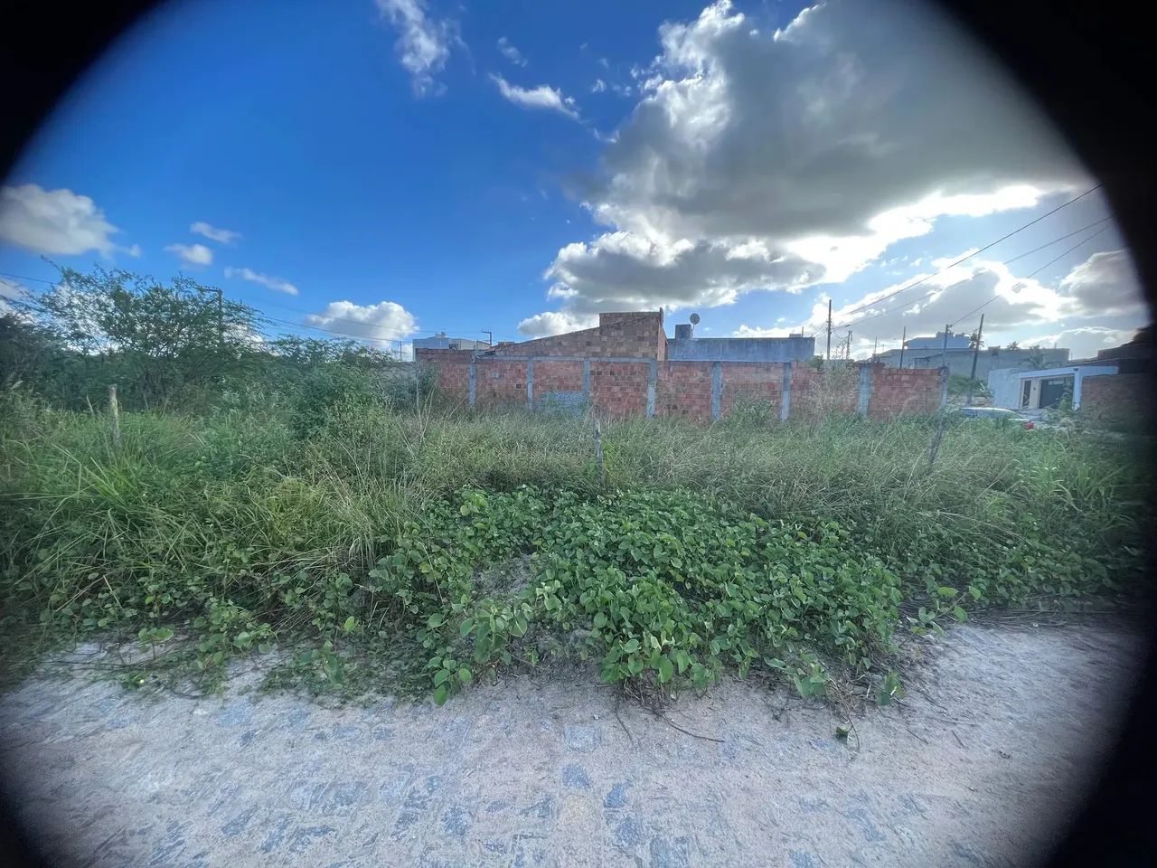 Lote no luar de Lagarto - Lagarto - Foto 2