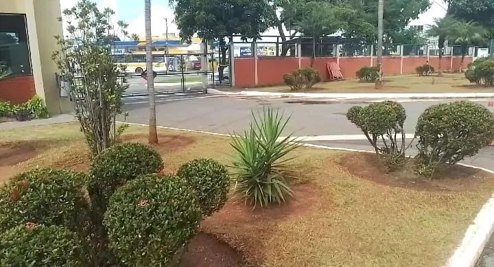 Jardinagem e Paisagismo - Jardineiro Profissional - Prestação de Serviços de Jardinagem - Foto 4