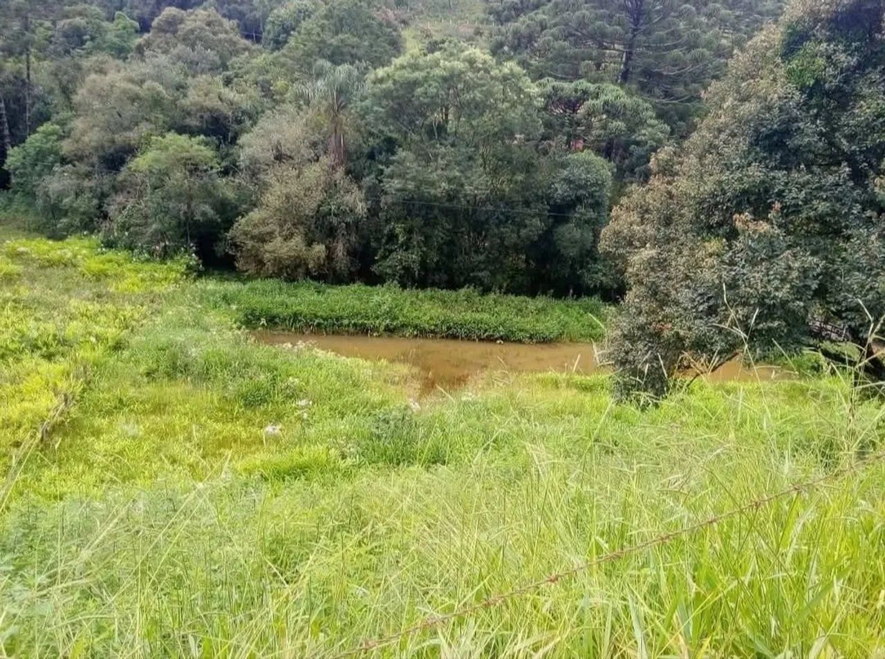 Foto - Alagoa - 