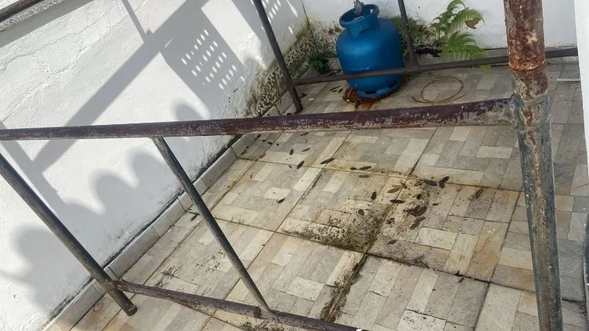 Andaime  1,50m - Usado porém funcionando perfeitamente - Foto 2