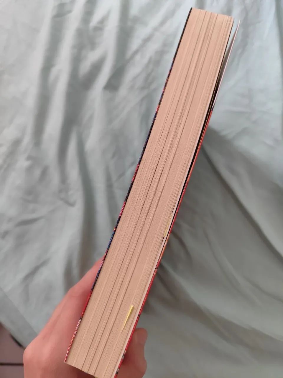 Akira Volume 1 - Foto 2