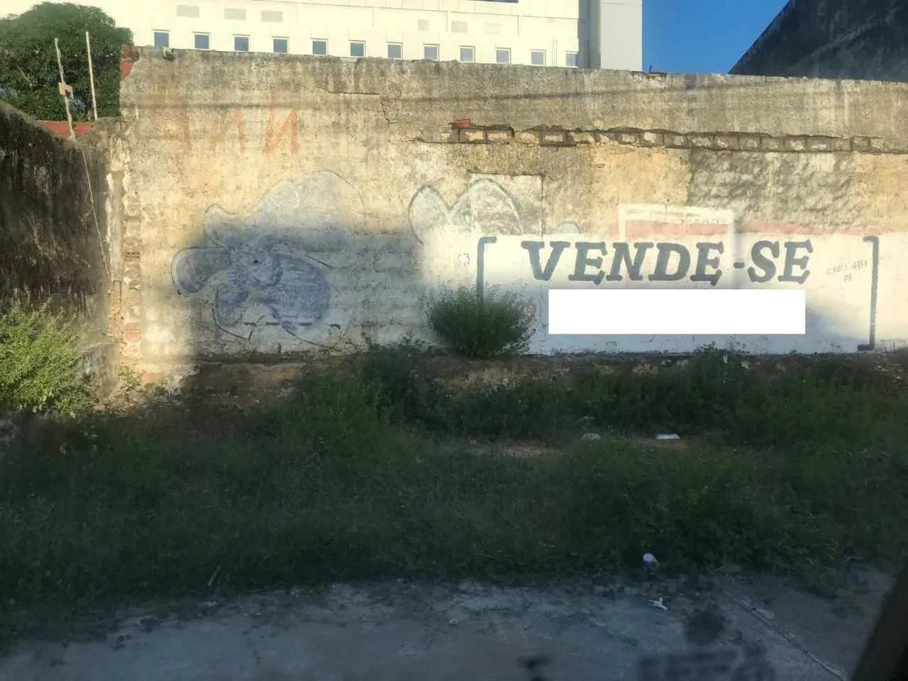 - Terreno na Atalaia - 50096