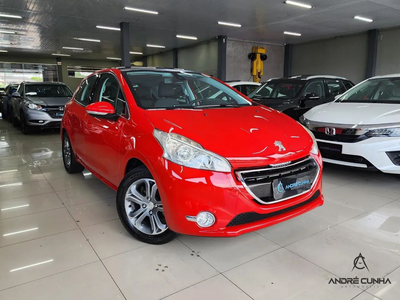 208 GRIFFE VERMELHA 2015/2016