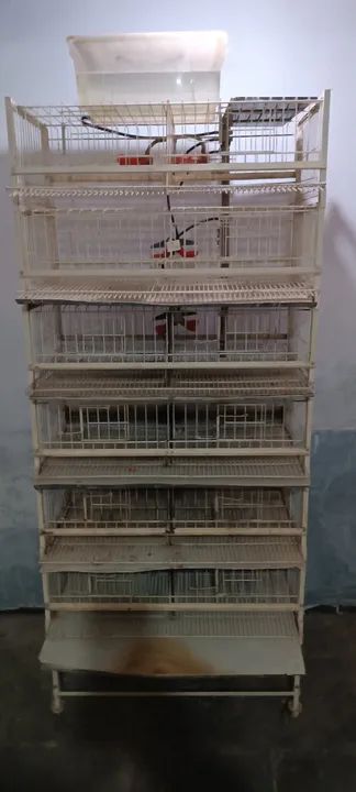 Bateria de gaiolas para codornas 