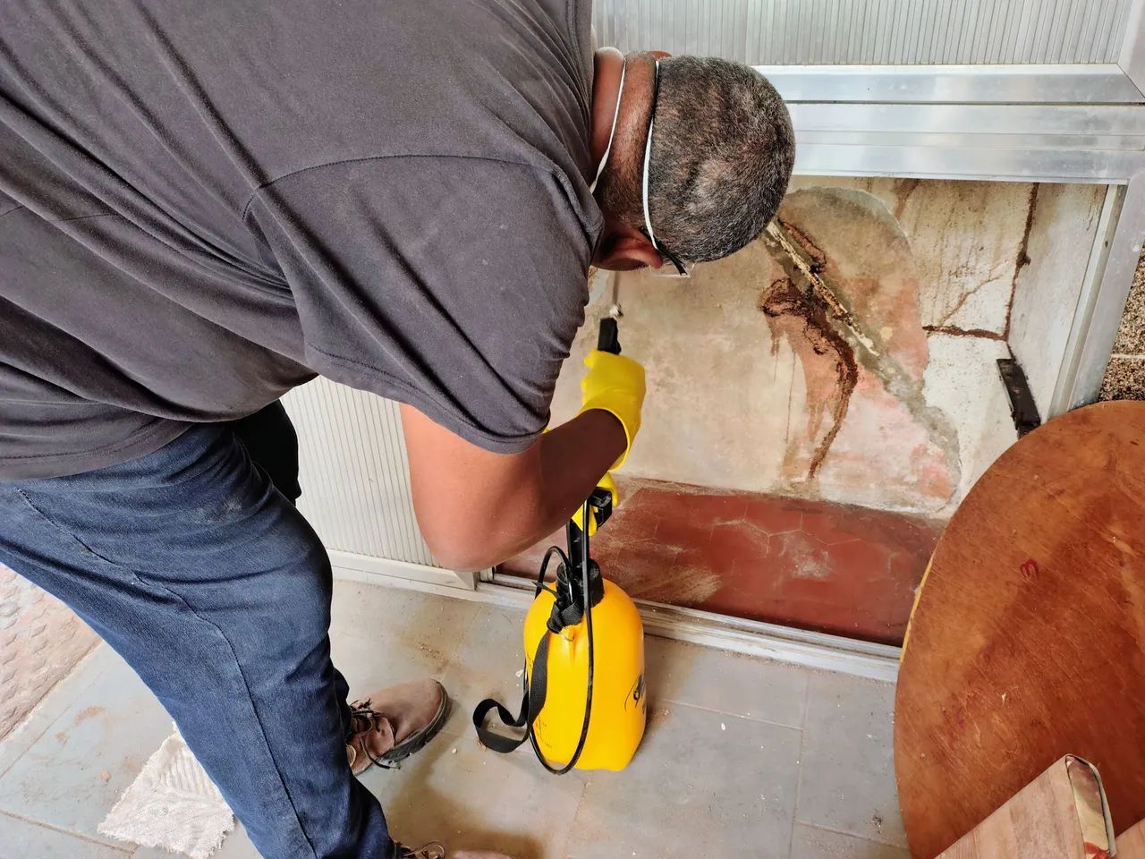 Dedetização  - Foto 6