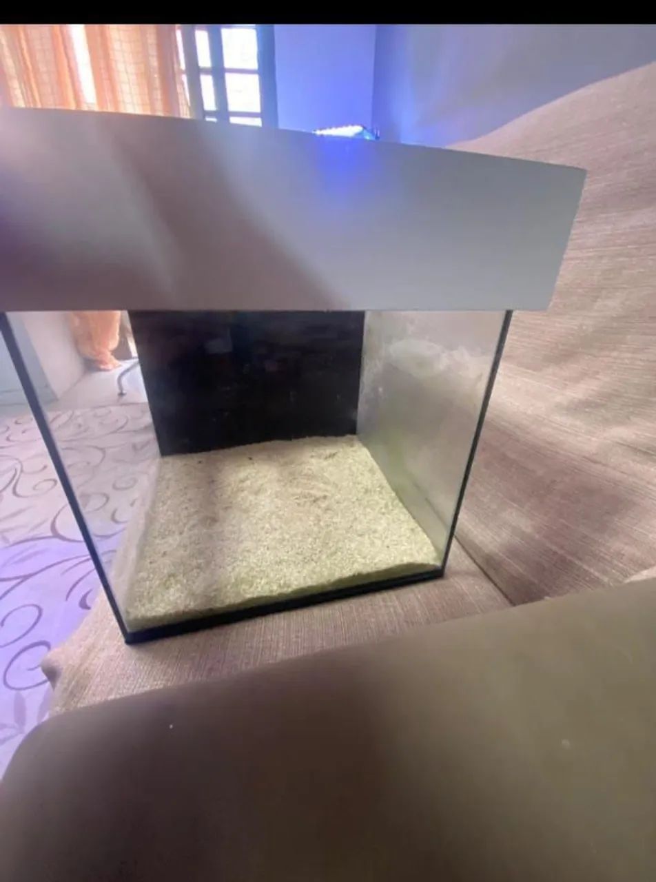 Aquário marinho com móvel  - Foto 6