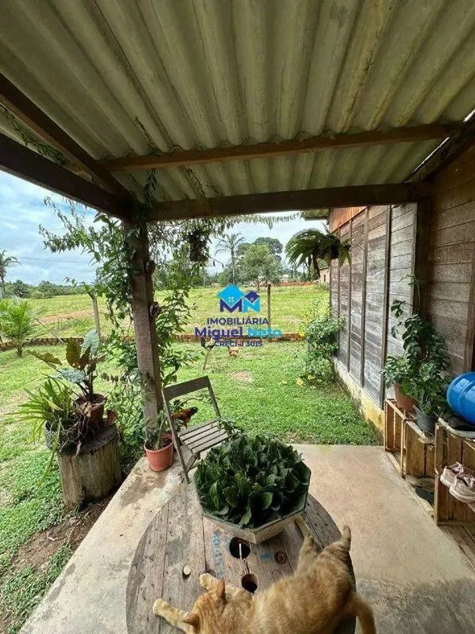 Linda Chácara Próximo ao Bairro Novo - Foto 4