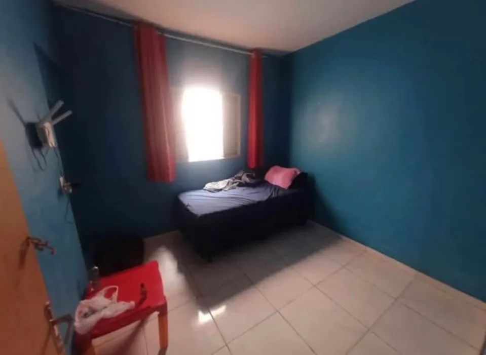 Samambaia norte  - Foto 4