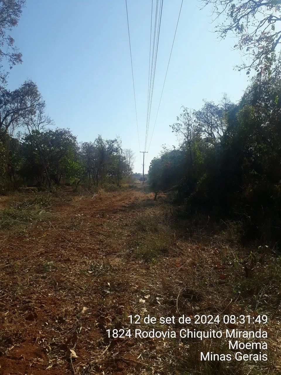 CAPINAS e  limpeza de lotes e grandes áreas. - Foto 2