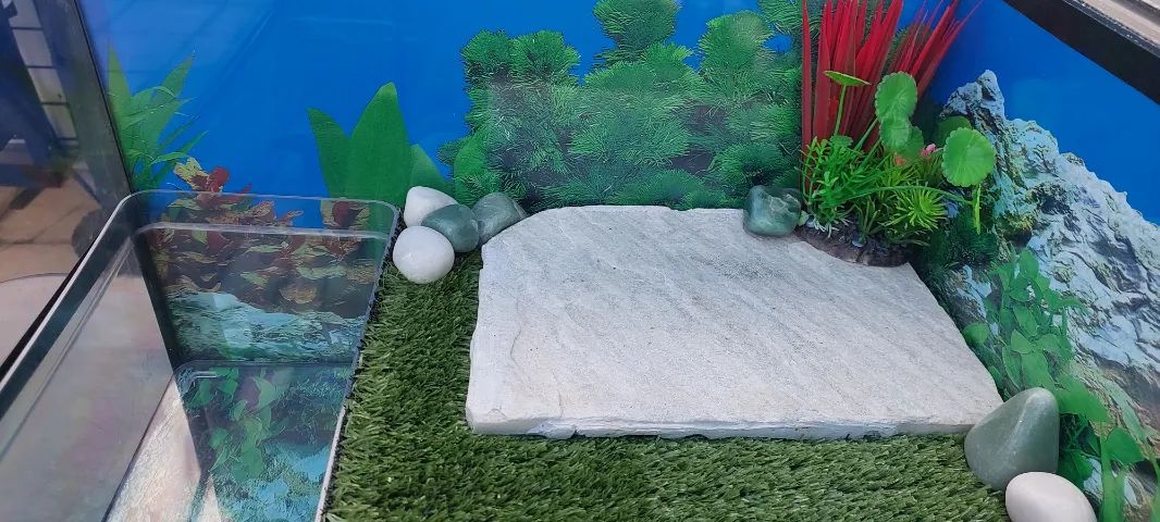 AQUATERRÁRIO COMPLETO - Foto 5