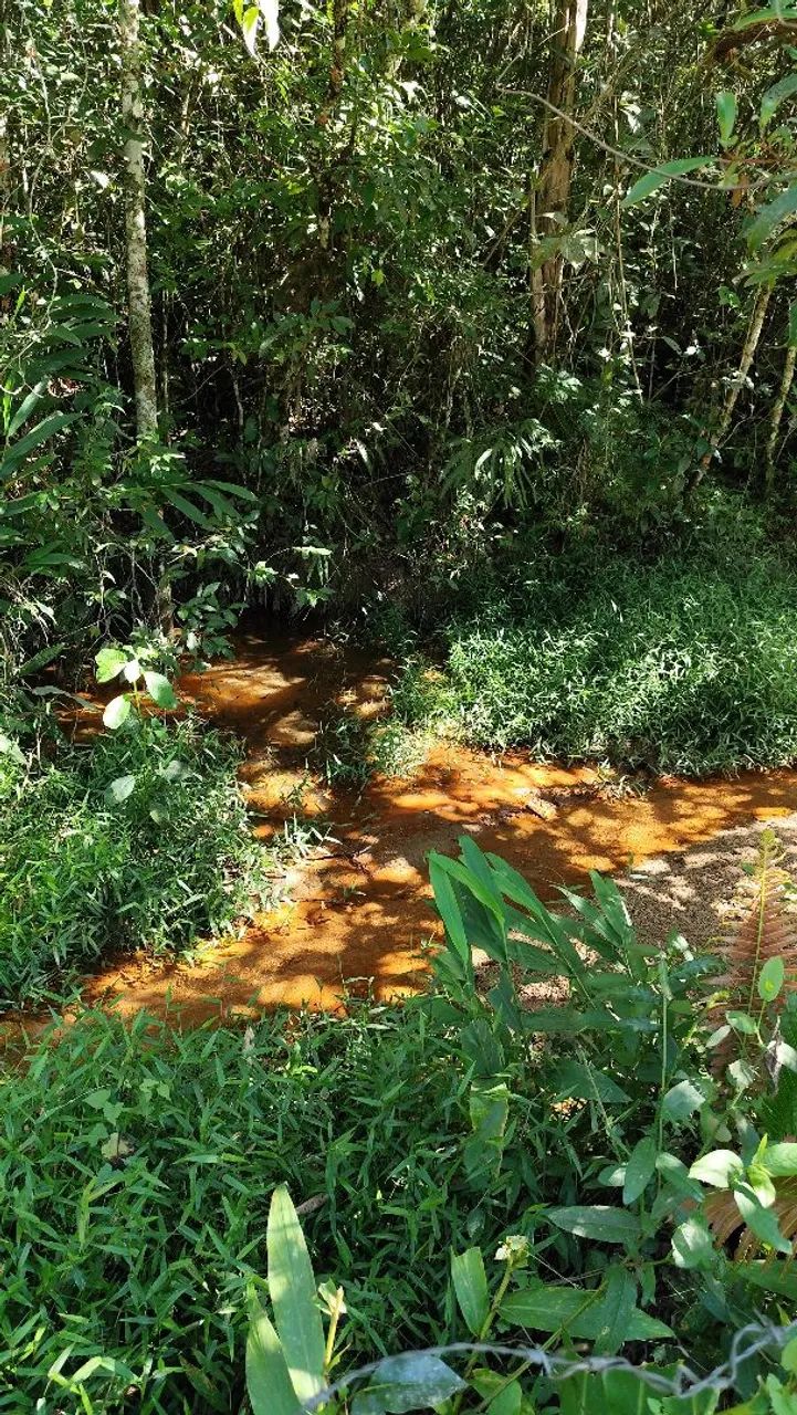 Terreno 5000 mts2 Desterro de Entre Rios/Piedade Gerais - Foto 5