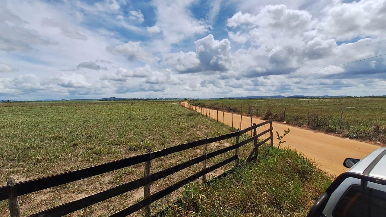 VENDO EXCELENTE PROPRIEDADE NA ZONA RURAL DE ANADIA!! COM 73 TAREFAS!!