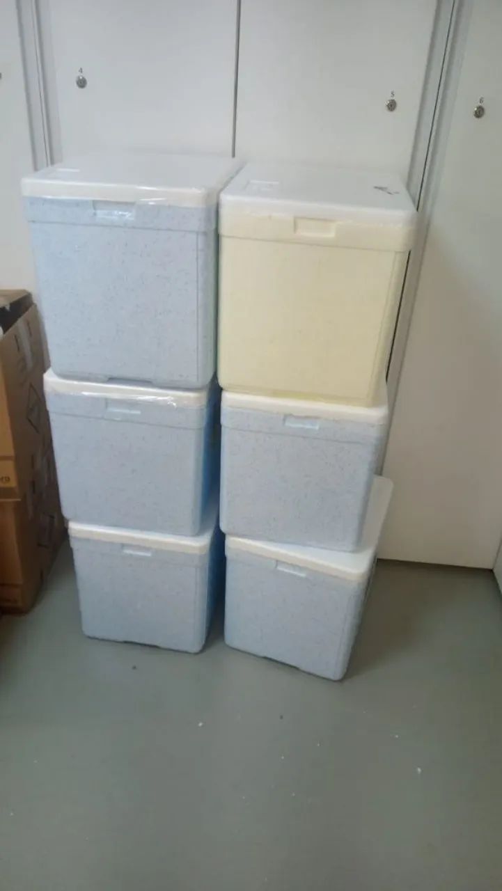 Caixa Térmica para Transporte 