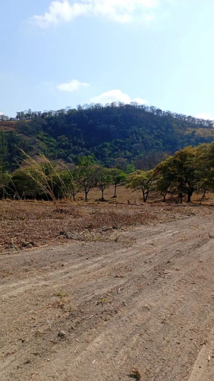 Terreno módulo rural em florestal 