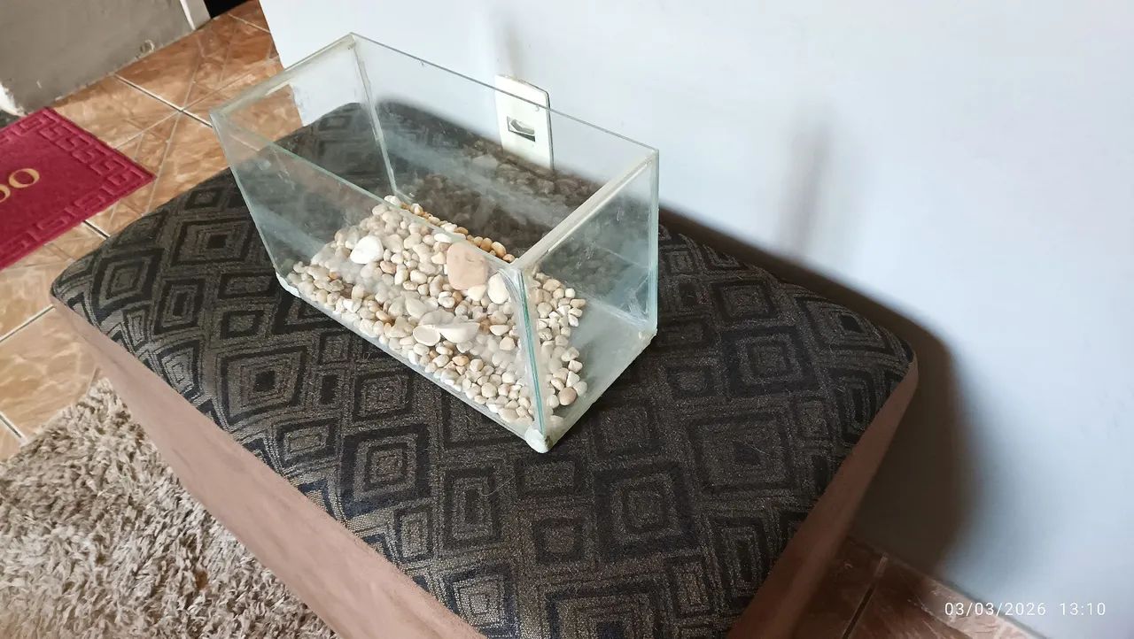 Aquário Compacto - Cabe em Qualquer Cantinho da Casa - Foto 2