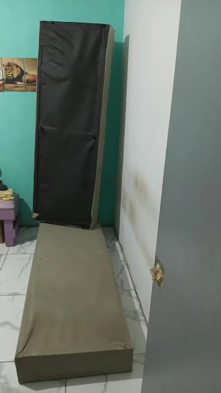Bicama - Foto 3