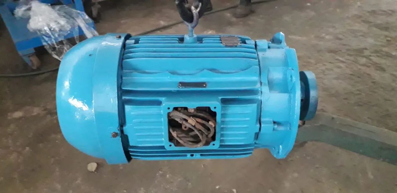 Motor Weg 60cv - Foto 3
