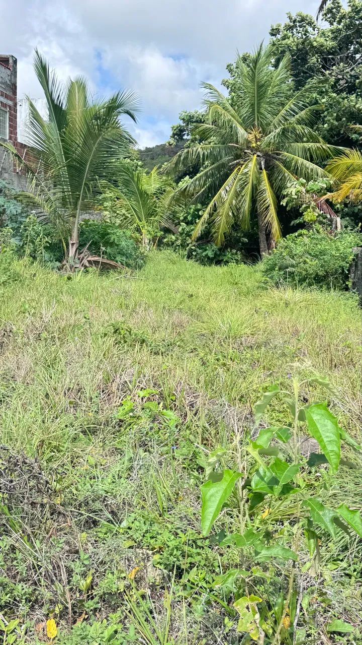 Vendo excelente terreno a beira mar  - Foto 2