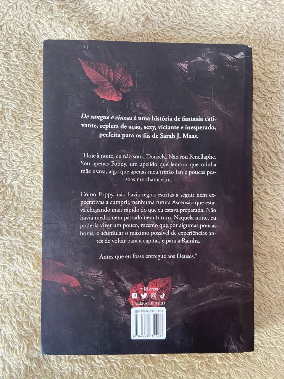 De Sangue e Cinzas | Livro Usado - Foto 2
