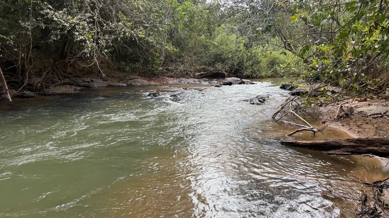 Chácara de 2.200mt com rio passa 4 no fundo com muita natureza! - Foto 4