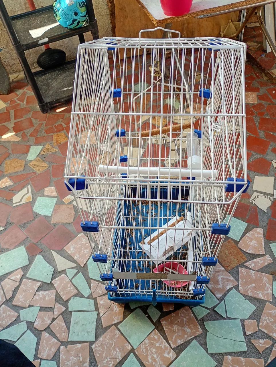 Gaiola calopsita  - Foto 2