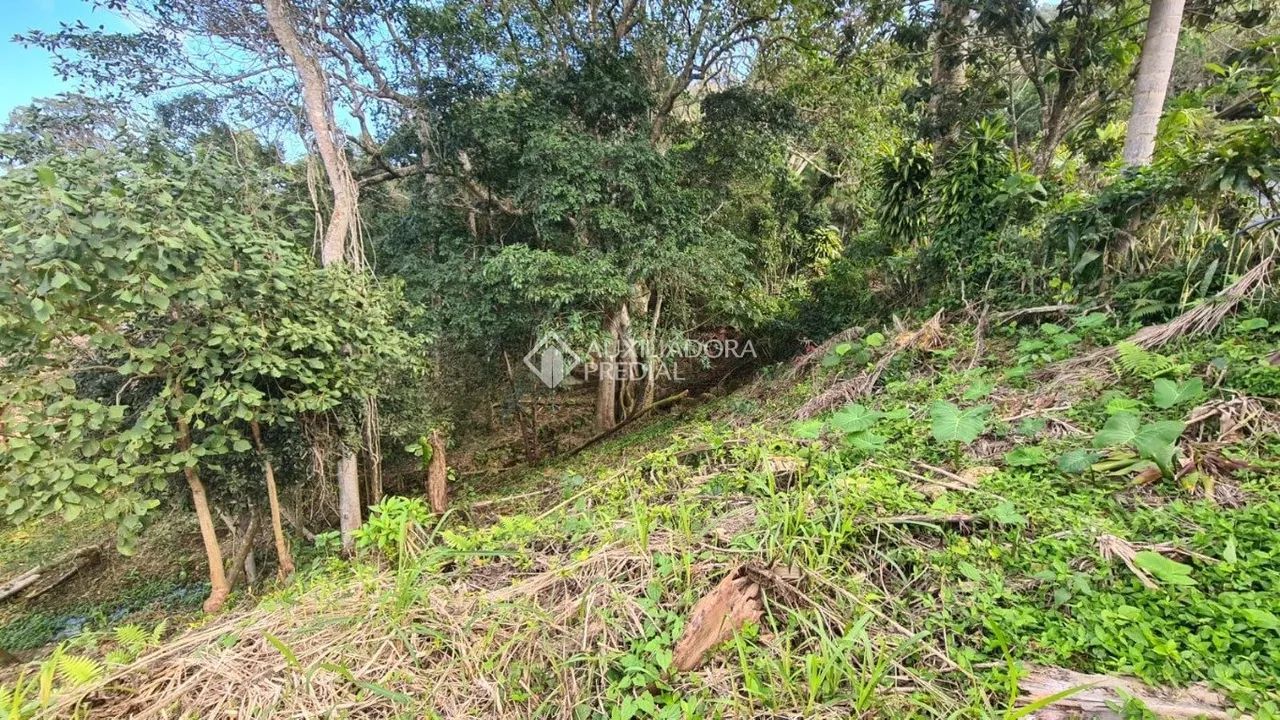 Terreno à venda próximo à Praia do Sambaqui - Florianópolis/SC | Natureza, tranquilidade e - Foto 2
