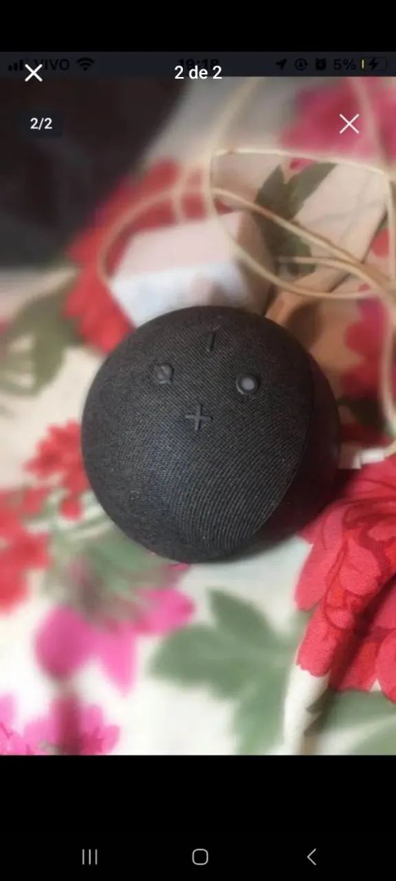Alexa