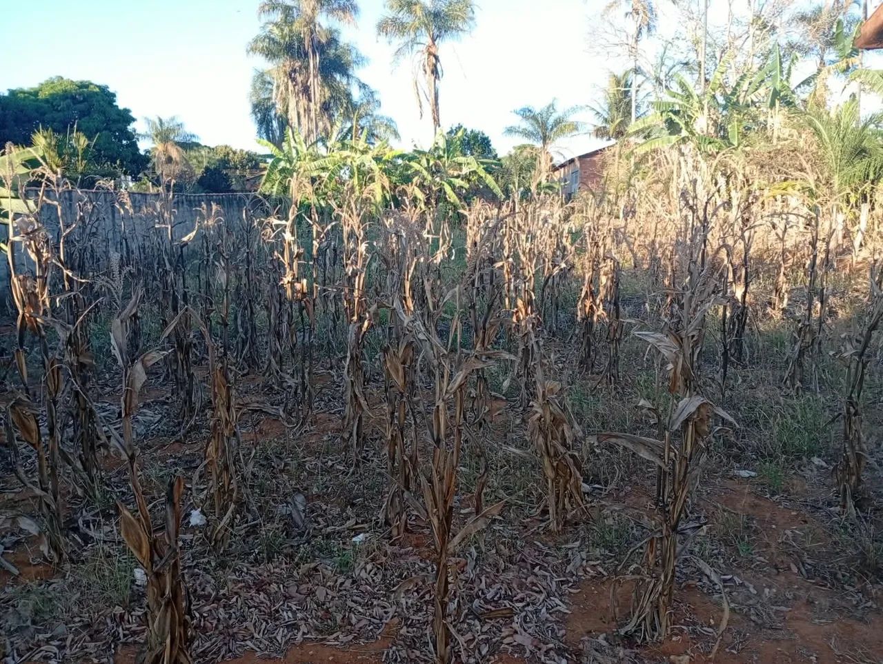 Lote em Cromínia  - Foto 2